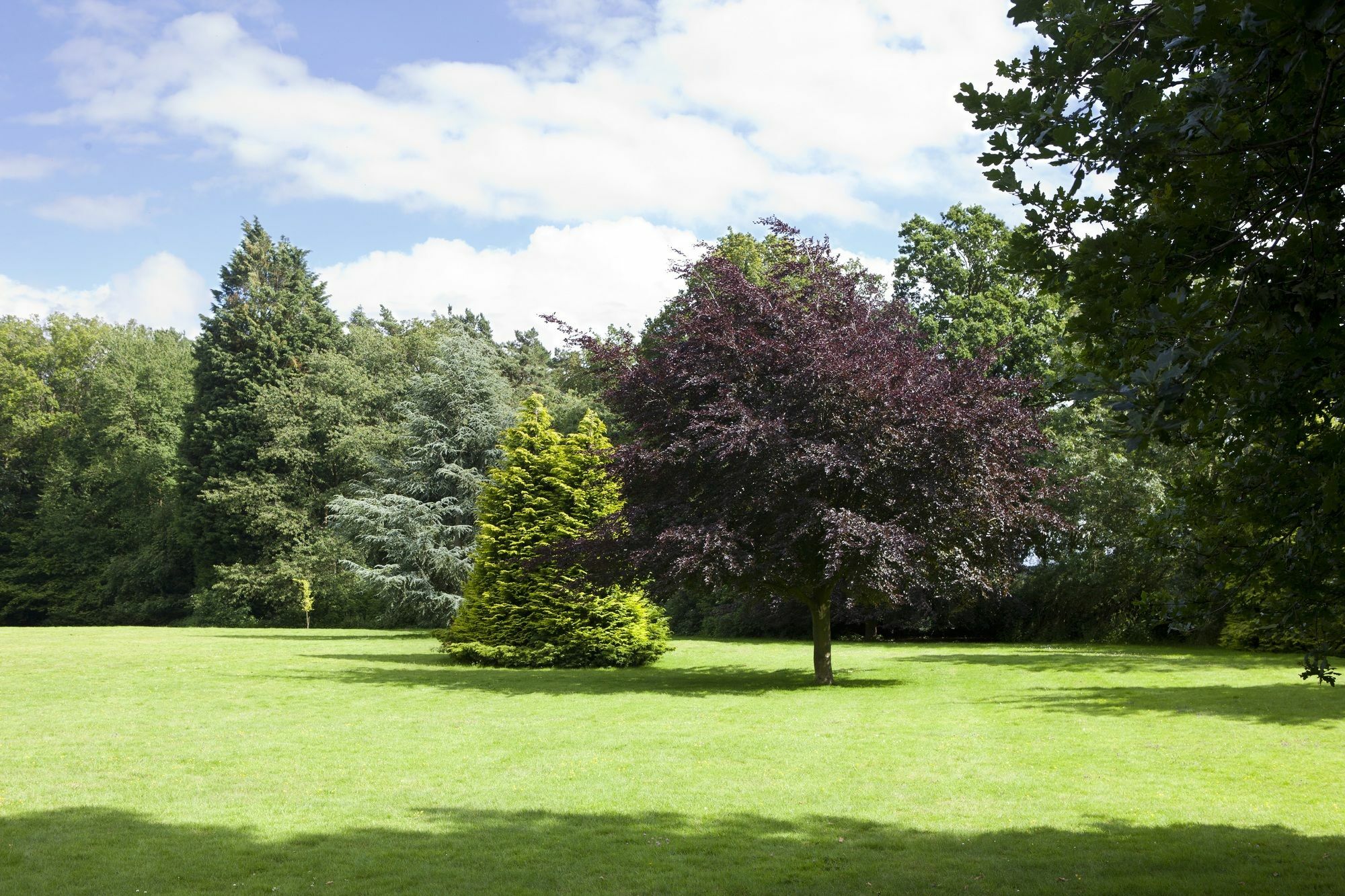 Audleys Wood Hotel, Basingstoke Bagian luar foto